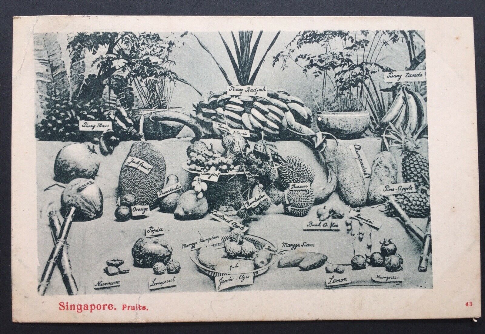 Thumb 2